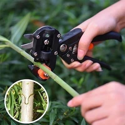 🎉Limited Time Discount Of Rs 100|🎉 Garden Professional Grafting Cutting Tool