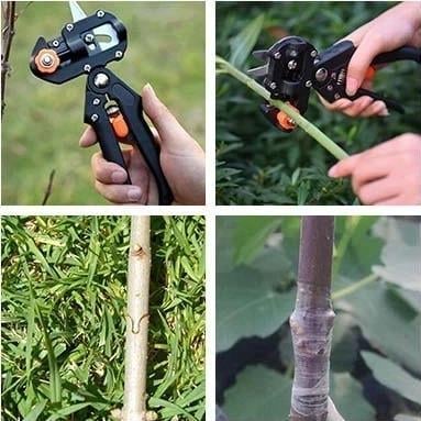 🎉Limited Time Discount Of Rs 100|🎉 Garden Professional Grafting Cutting Tool